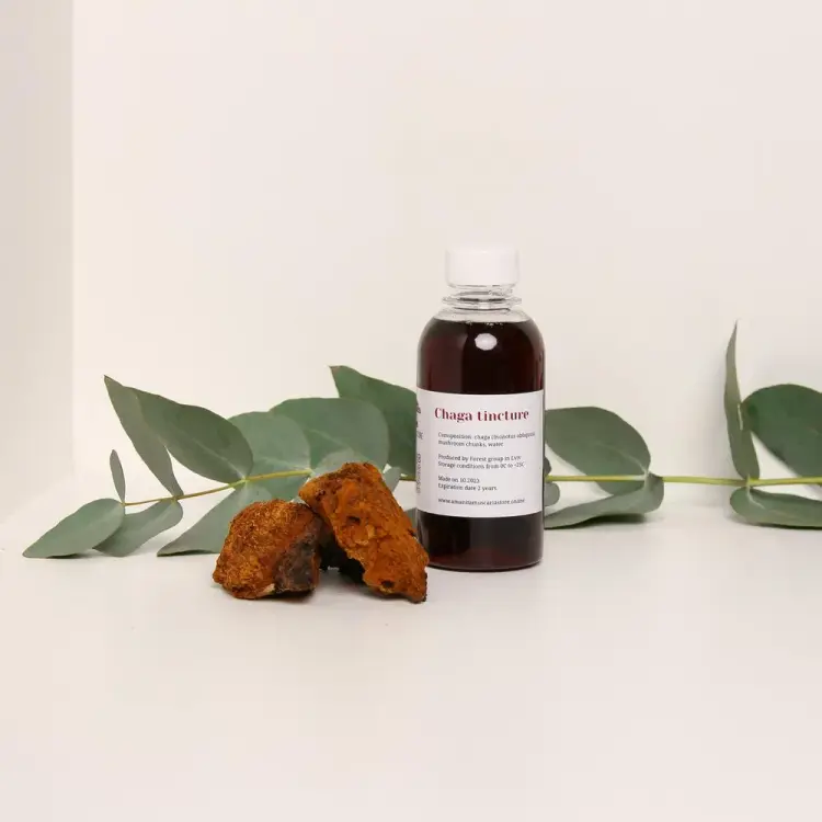 Chaga (Inonotus obliquus) tincture – Double Extraction — 50ml — photo 3