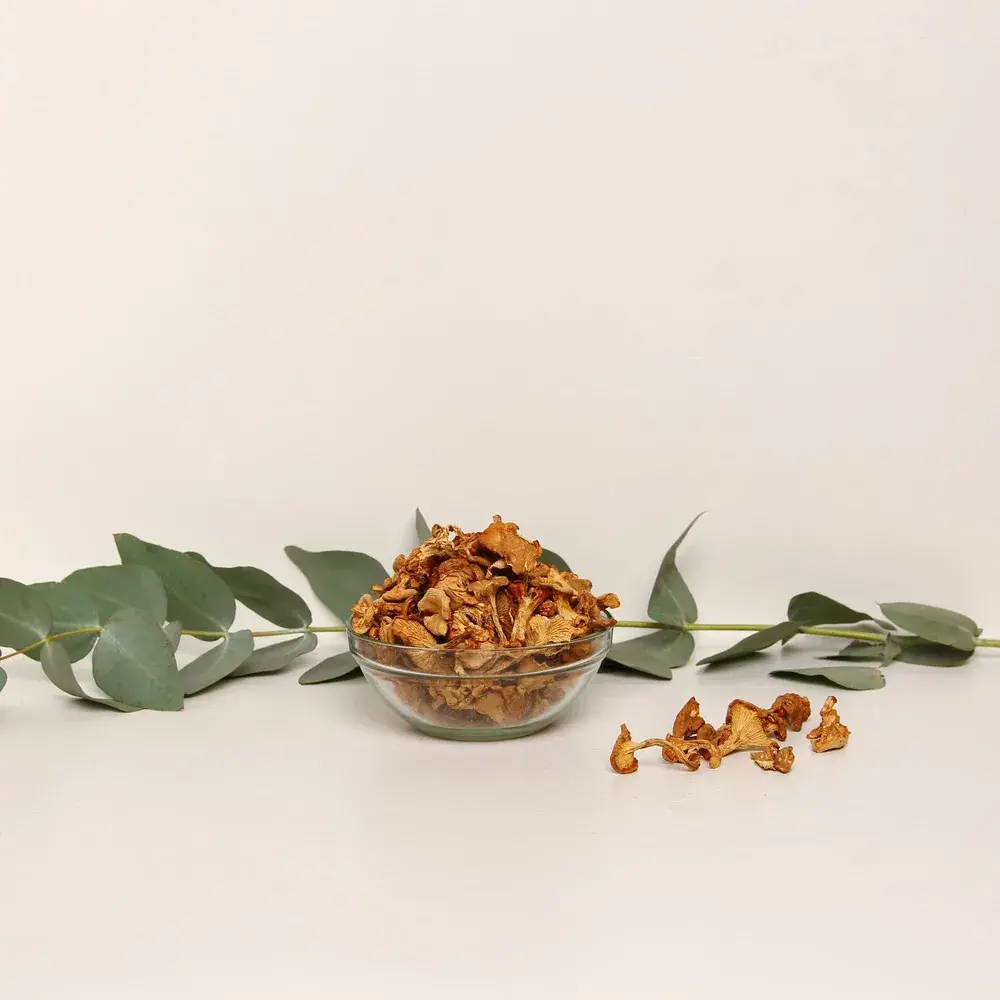 Chanterelle mushroom — 100g