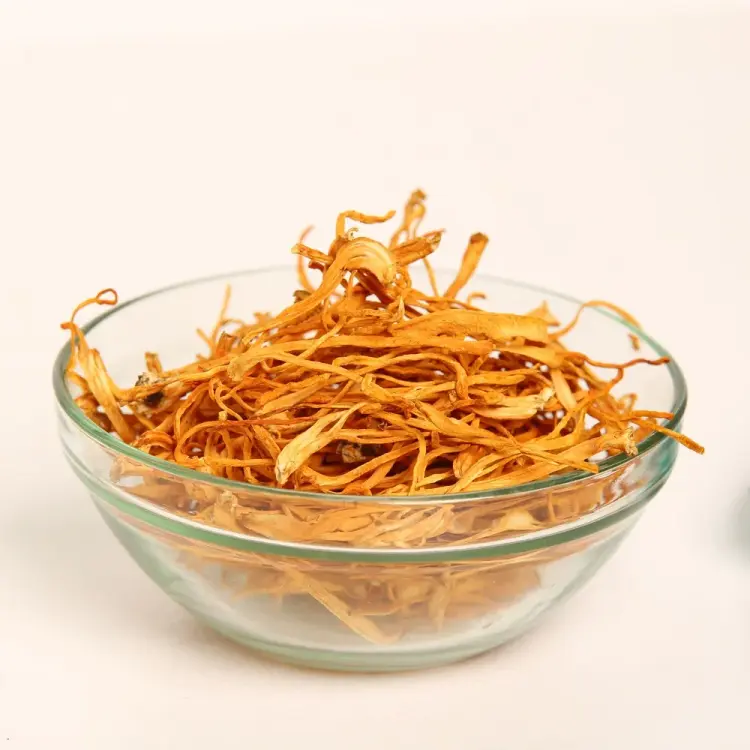 Cordyceps Militaris — 100g — photo 2