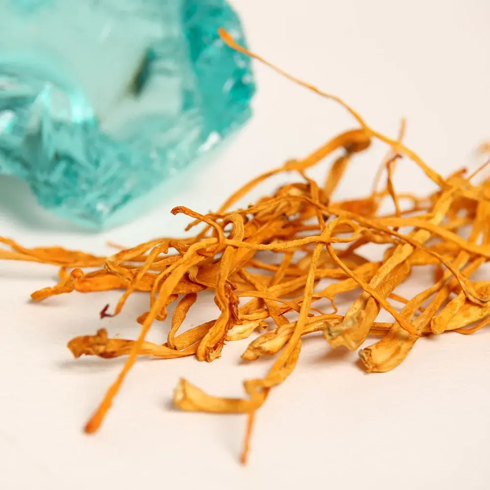 Cordyceps Military — 100g — photo 3