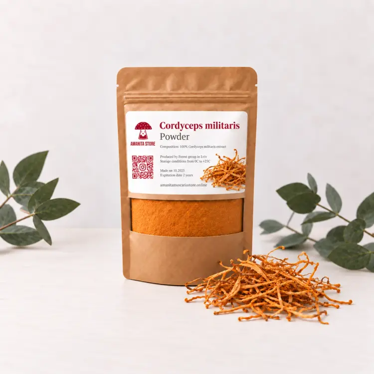 Cordyceps Militaris Powder — 100g