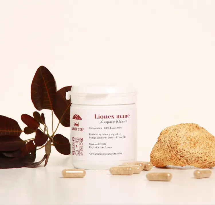 Lion's Mane capsules – 10:1 extract — 120 capsules