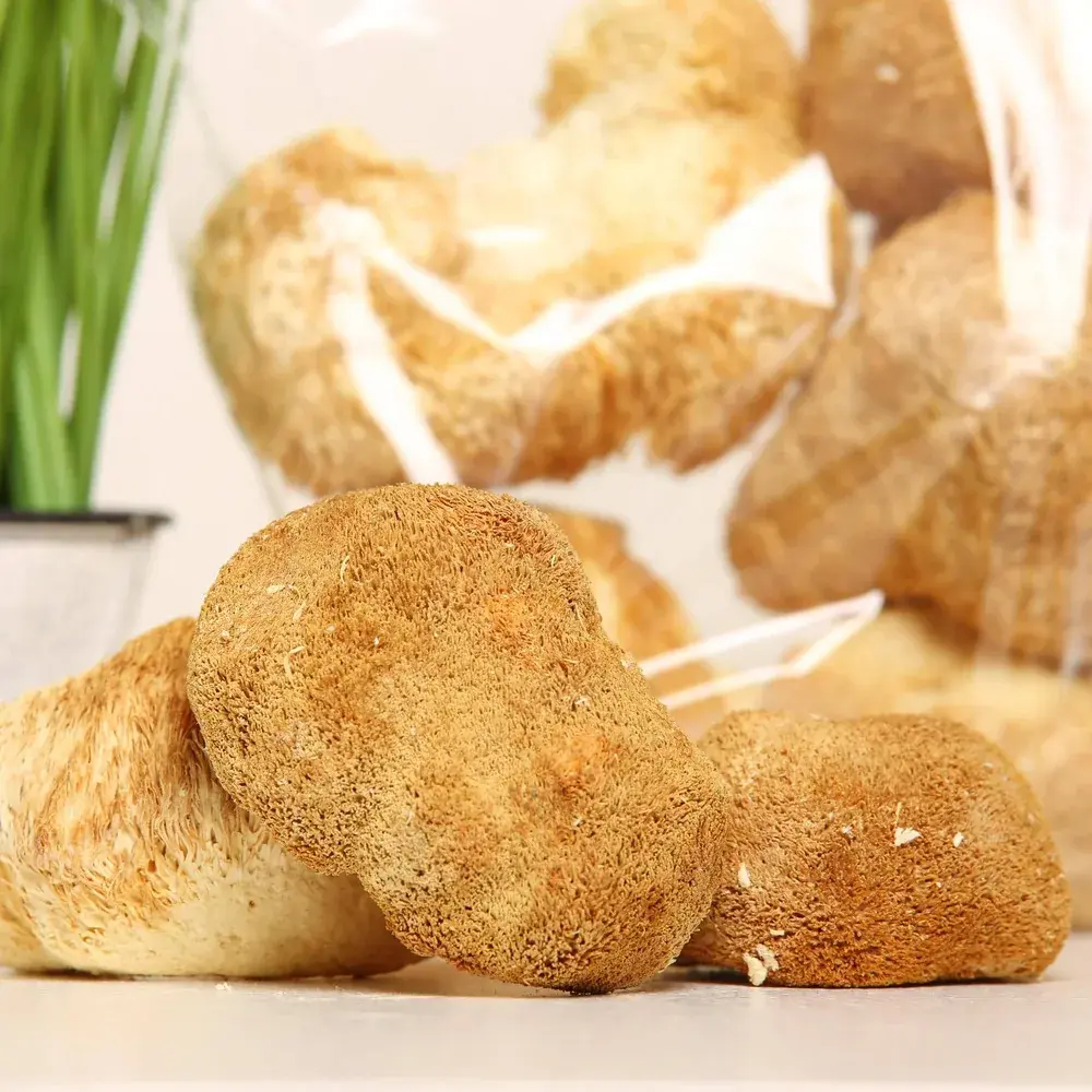 Lion's Mane (Hericium erinaceus) — 100g — photo 2