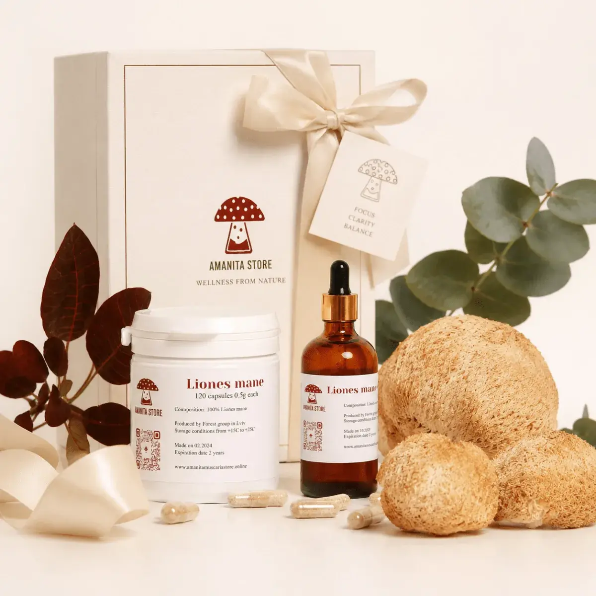 Lion's Mane Mushroom Gift Set — 1 box
