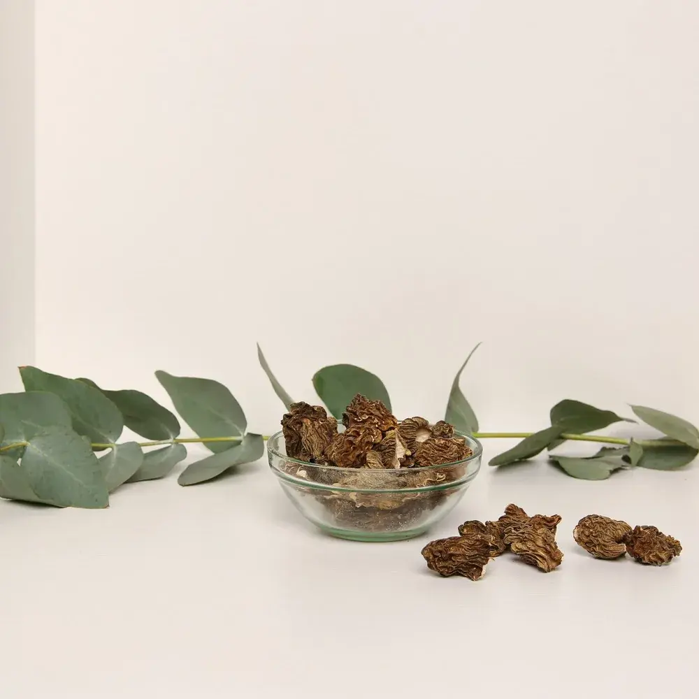 Dried Morels — 100g
