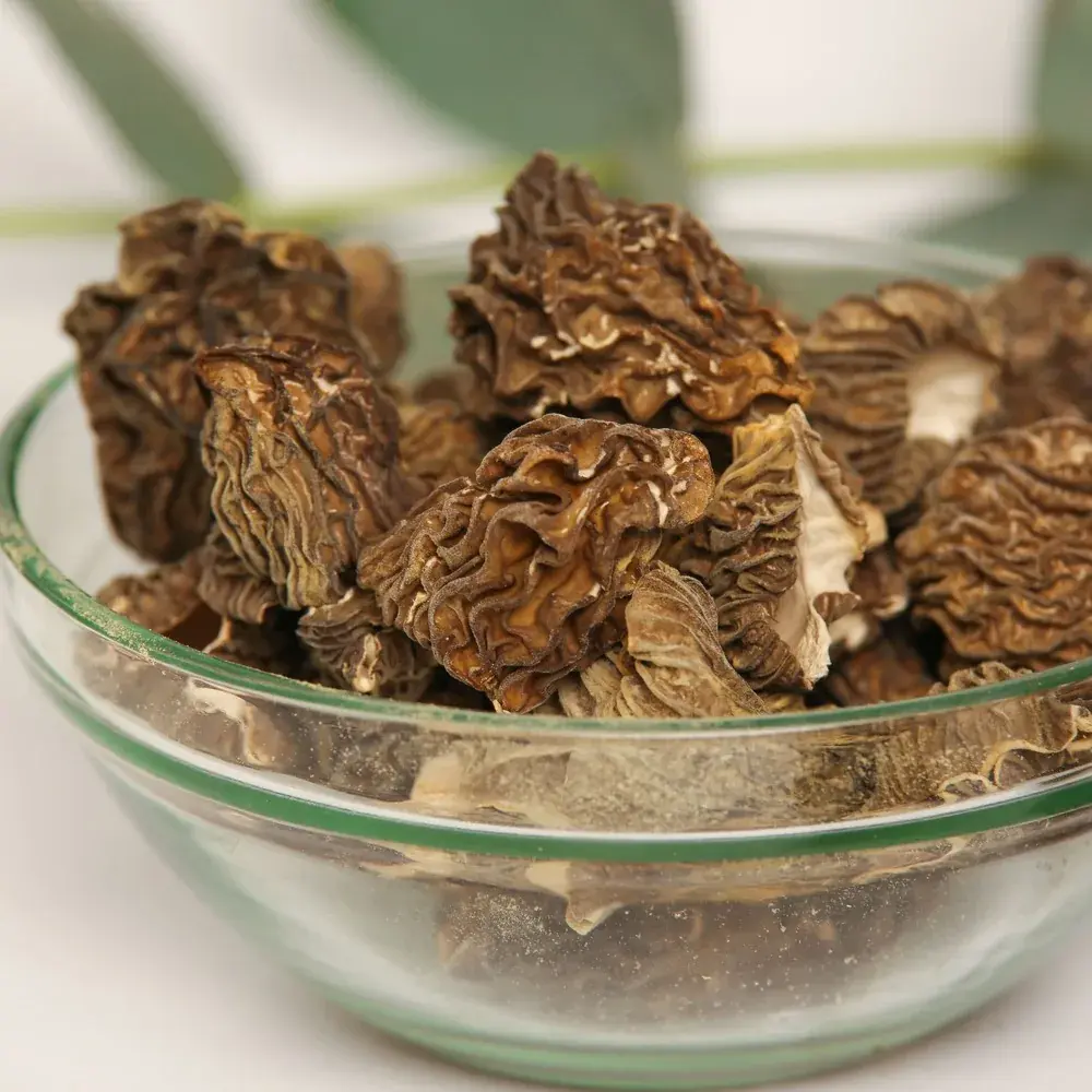 Dried Morels — 100g — photo 2