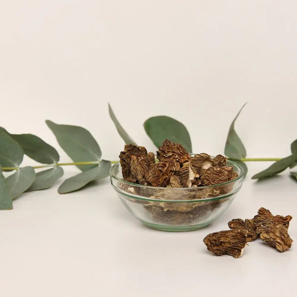Dried Morels — 100g — photo 3