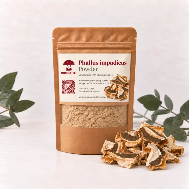 Phallus Impudicus Powder Extract – 10:1 Concentrate — 50g