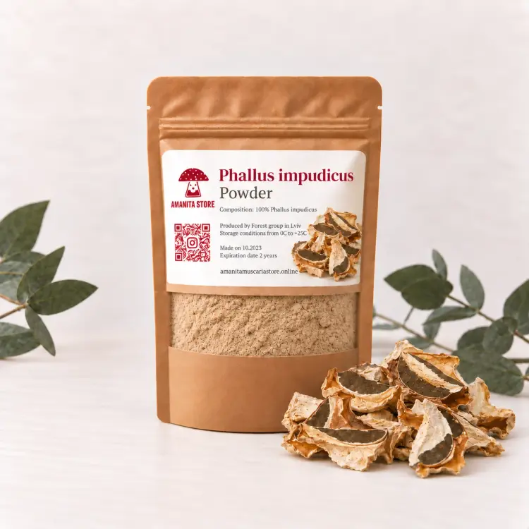 Phallus Impudicus Powder Extract – 10:1 Concentrate — 50g