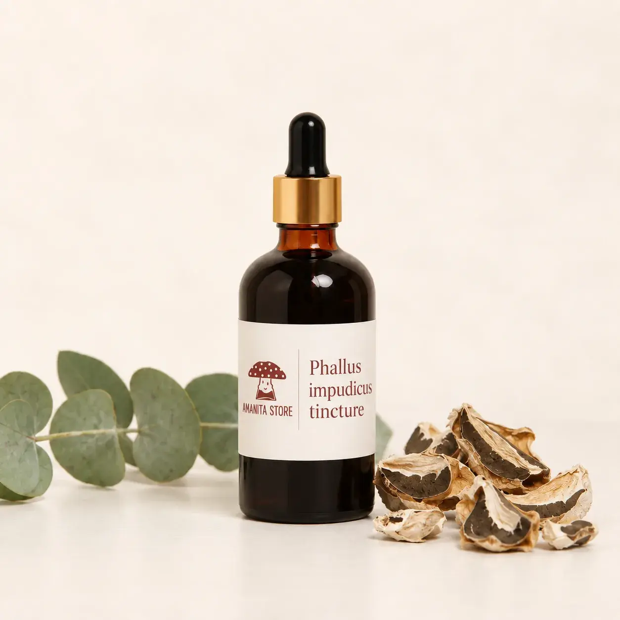 Phallus Impudicus Tincture – Fresh Fruiting Body Extract — 50ml — photo 3