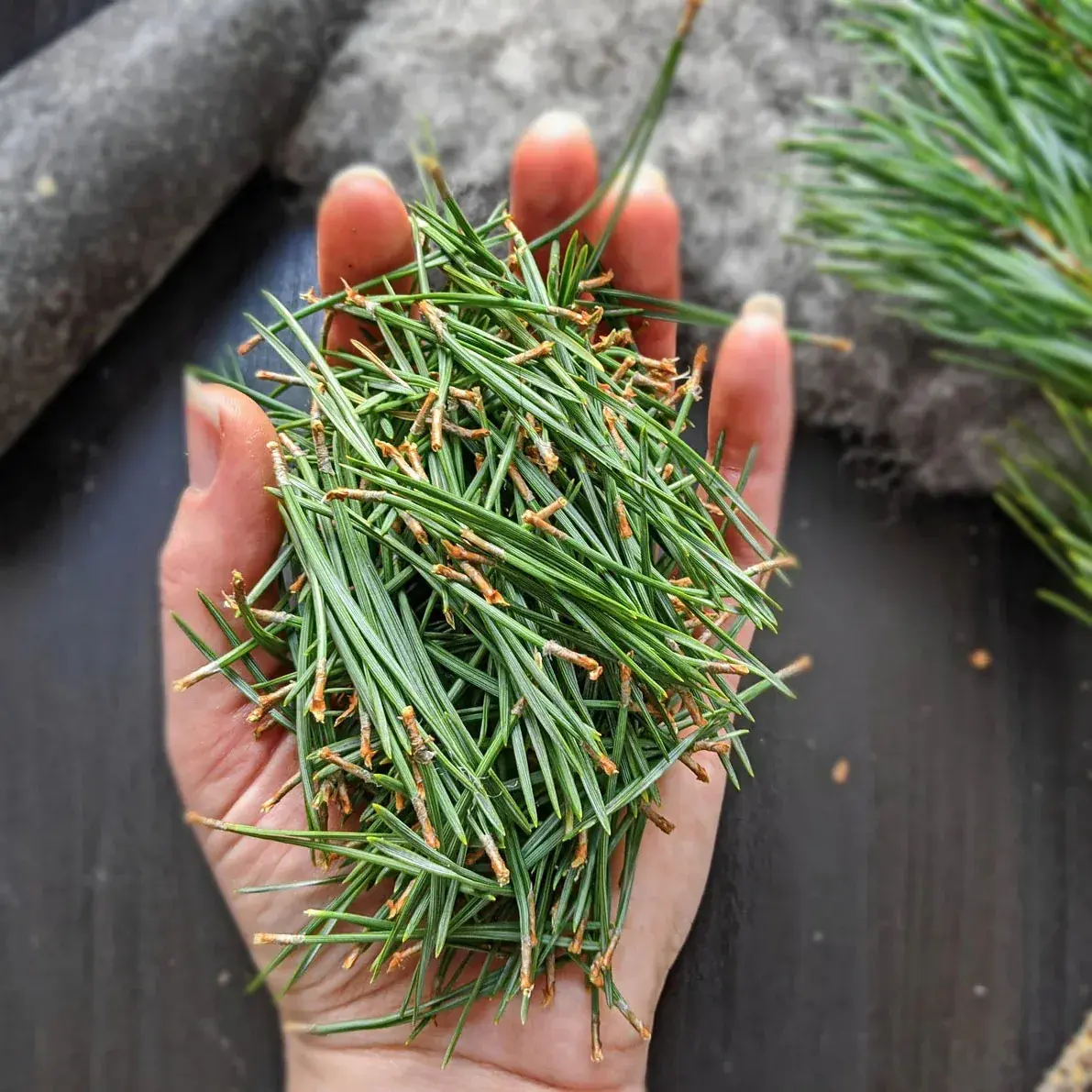 Pine needles — 100g — photo 4