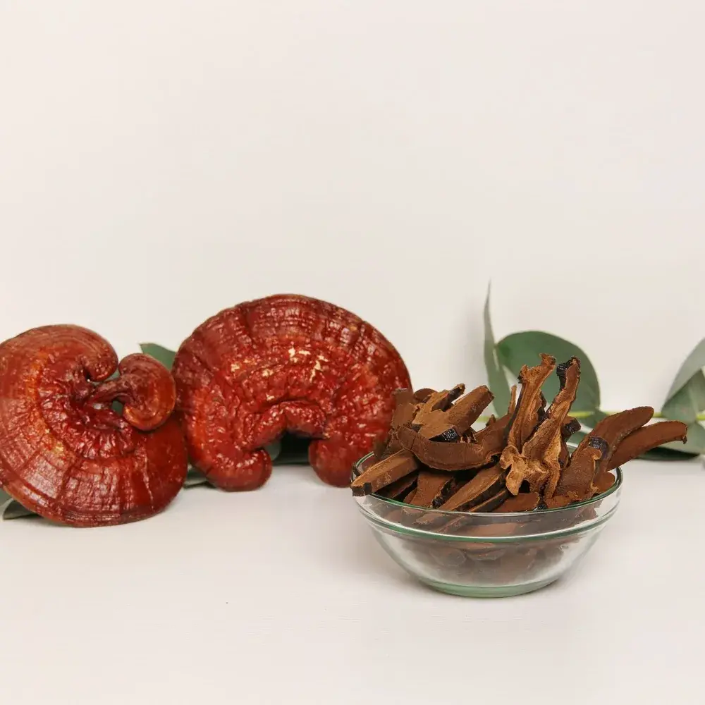 Reishi mushroom (Ganoderma lucidum) — 100g