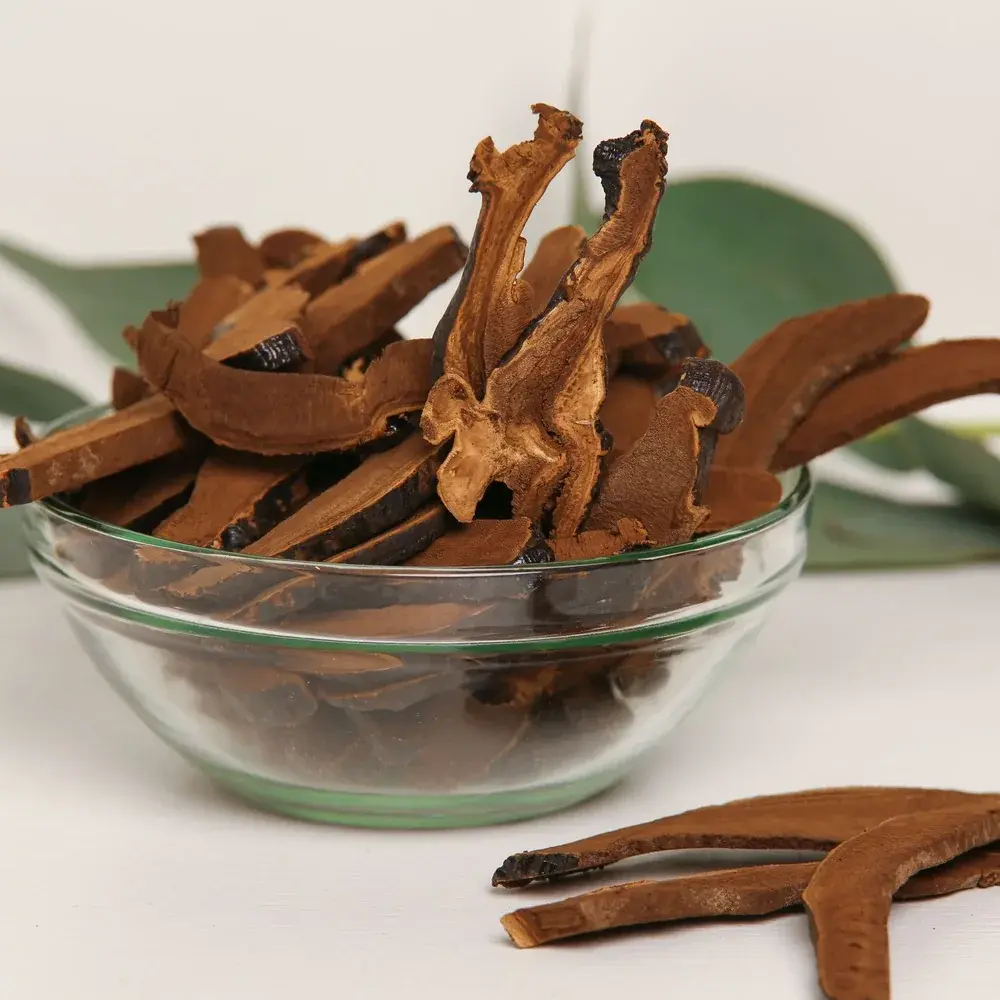 Reishi mushroom (Ganoderma lucidum) — 100g — photo 3