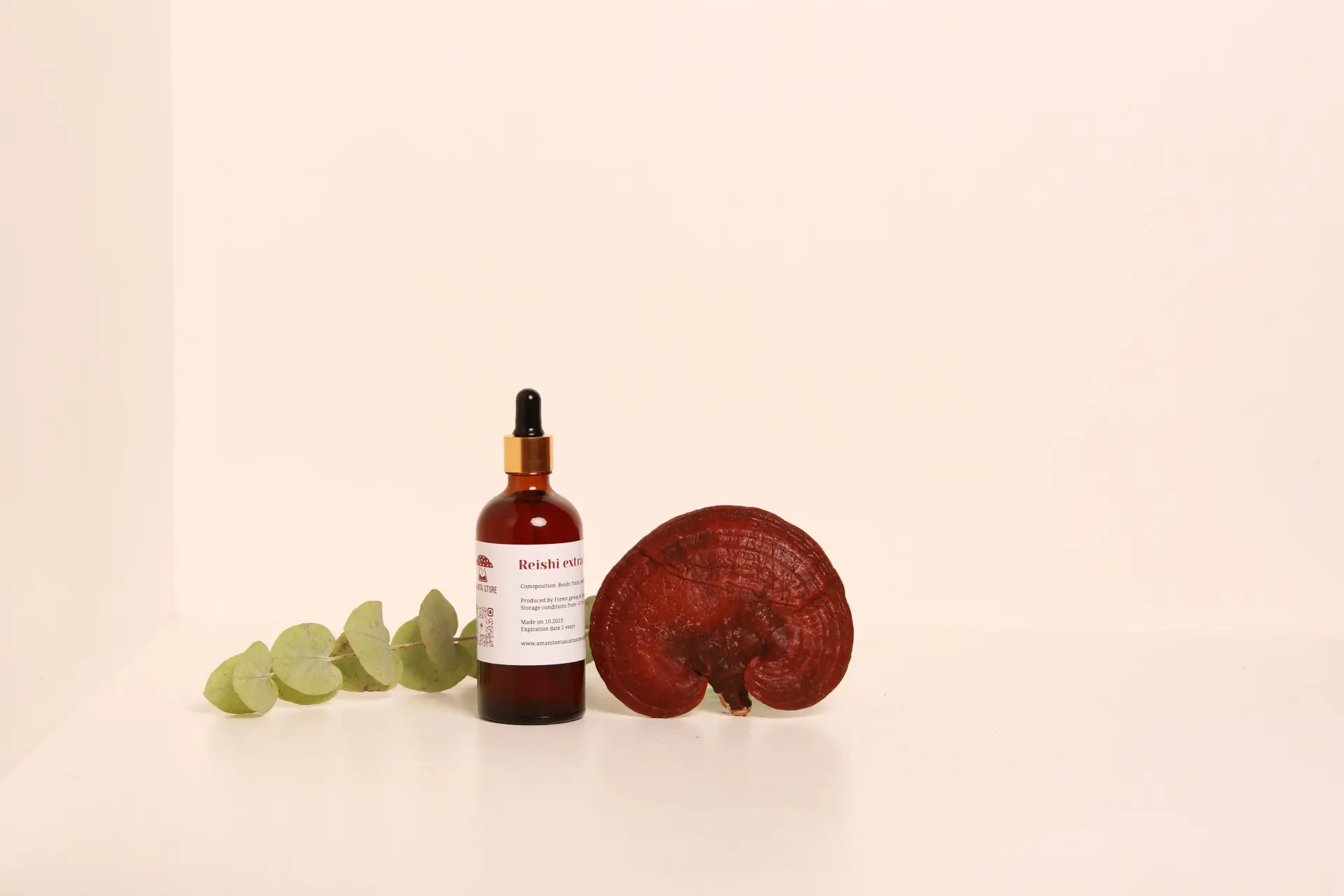 Reishi Tincture – Double Extraction from Fresh Organic Fruiting Bodies — 50ml