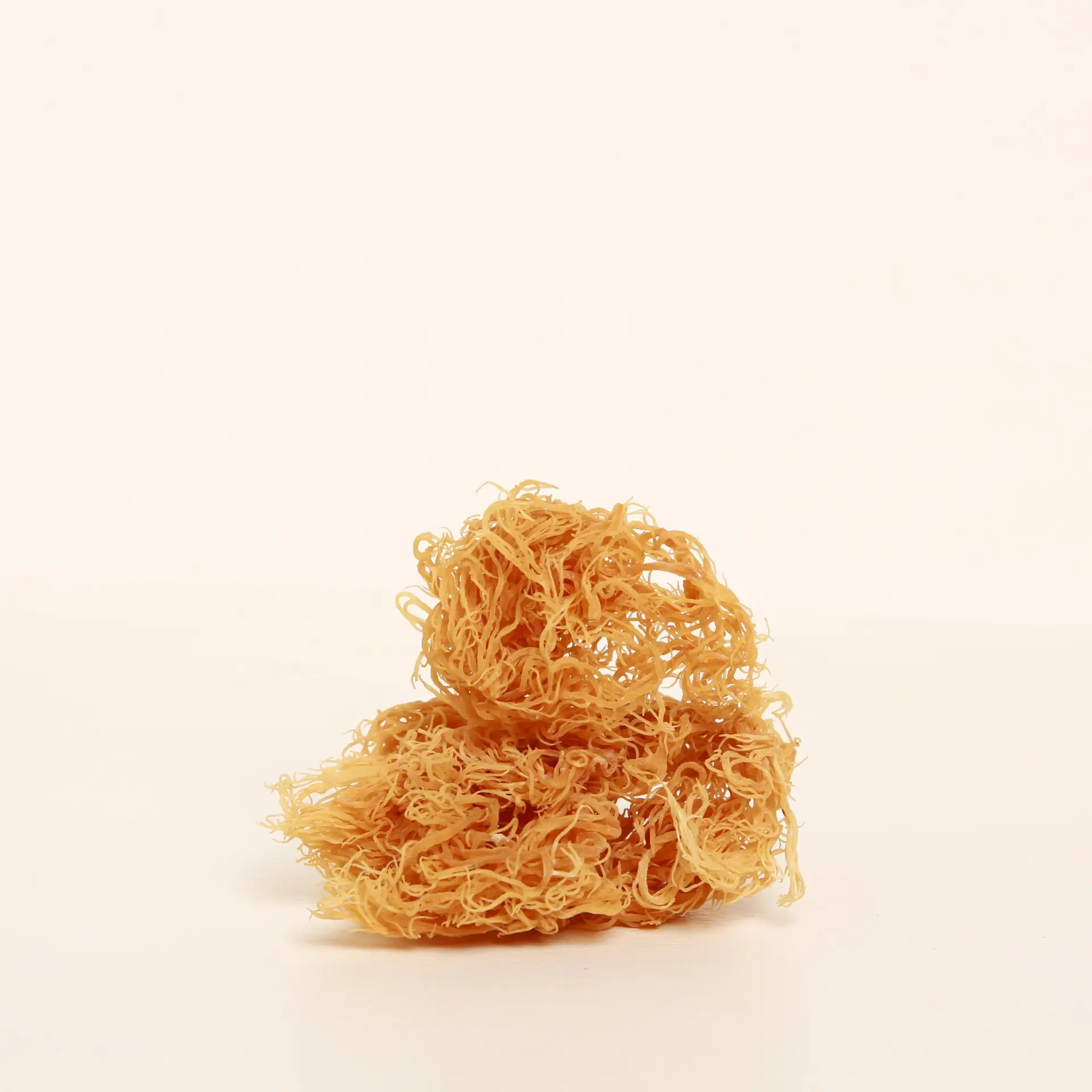 Organic Sea moss algae (Irish Moss) — 50g — photo 3