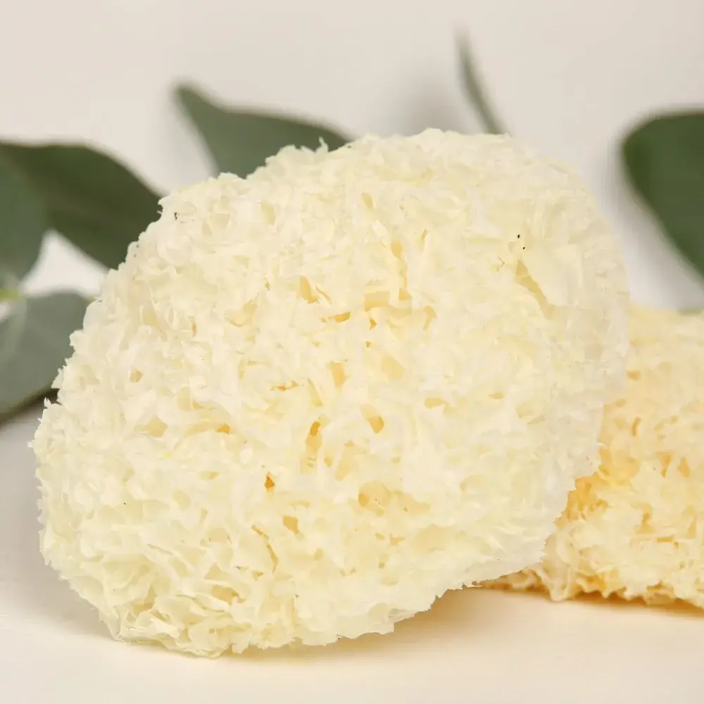 Organic Tremella (Snow Fungus) — 50g — photo 2
