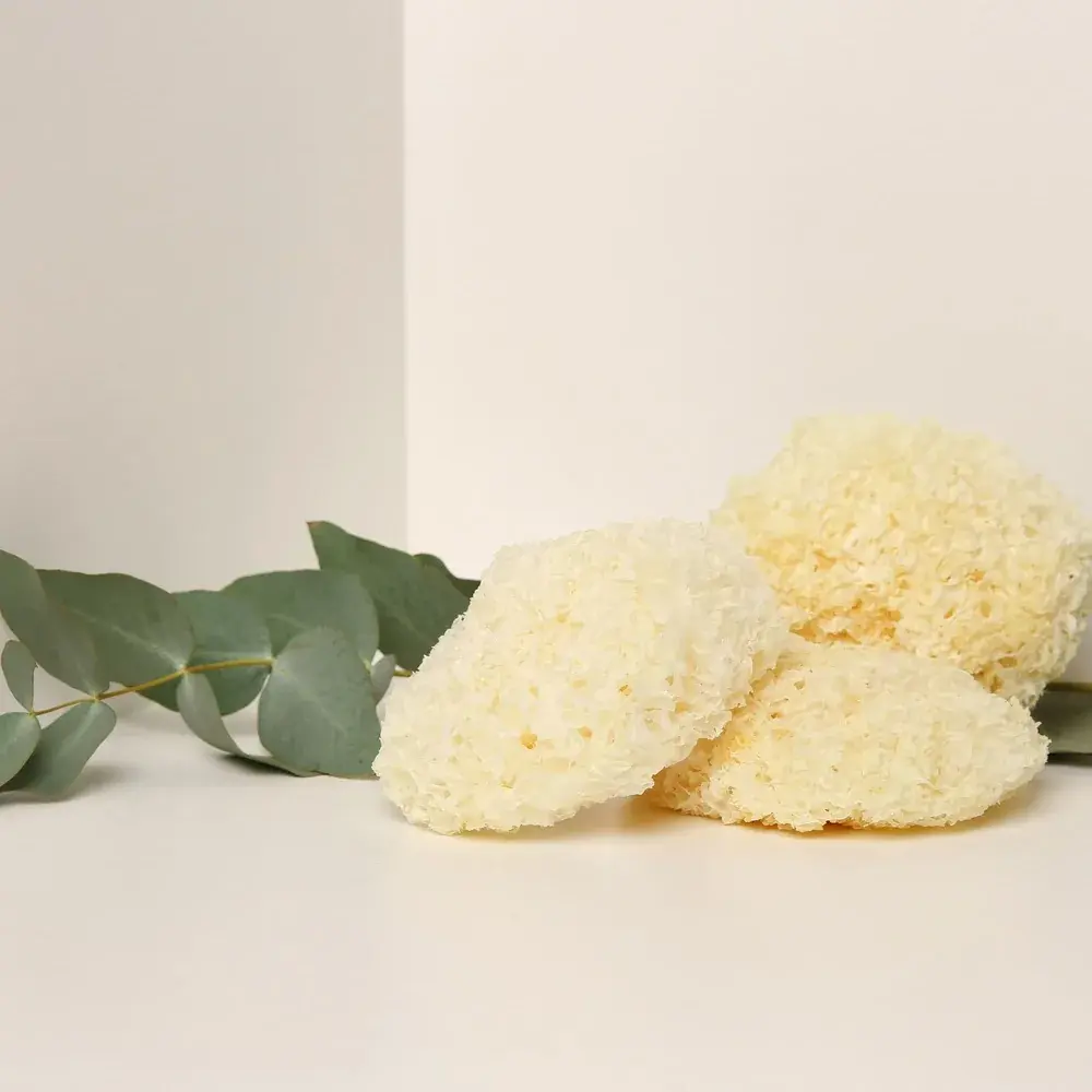 Organic Tremella (Snow Fungus) — 50g — photo 3