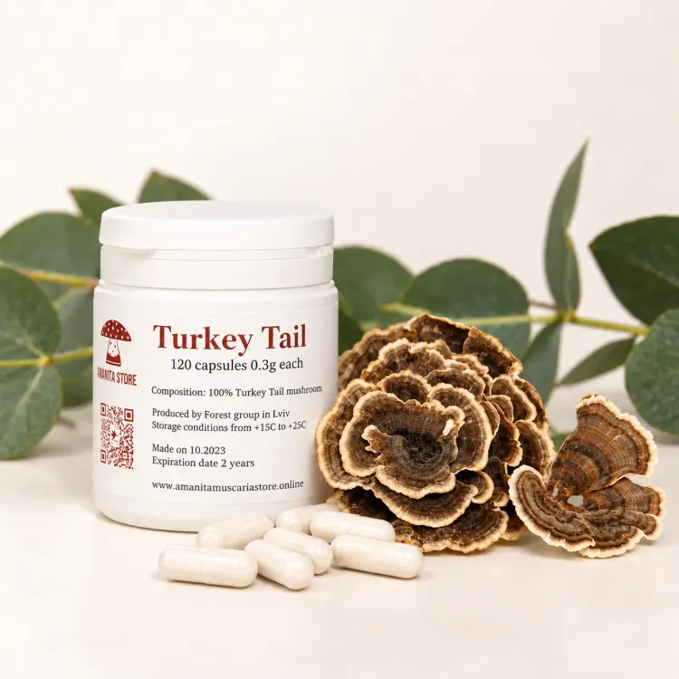 Trametes Versicolor Capsules (Turkey Tail) — 120 capsules