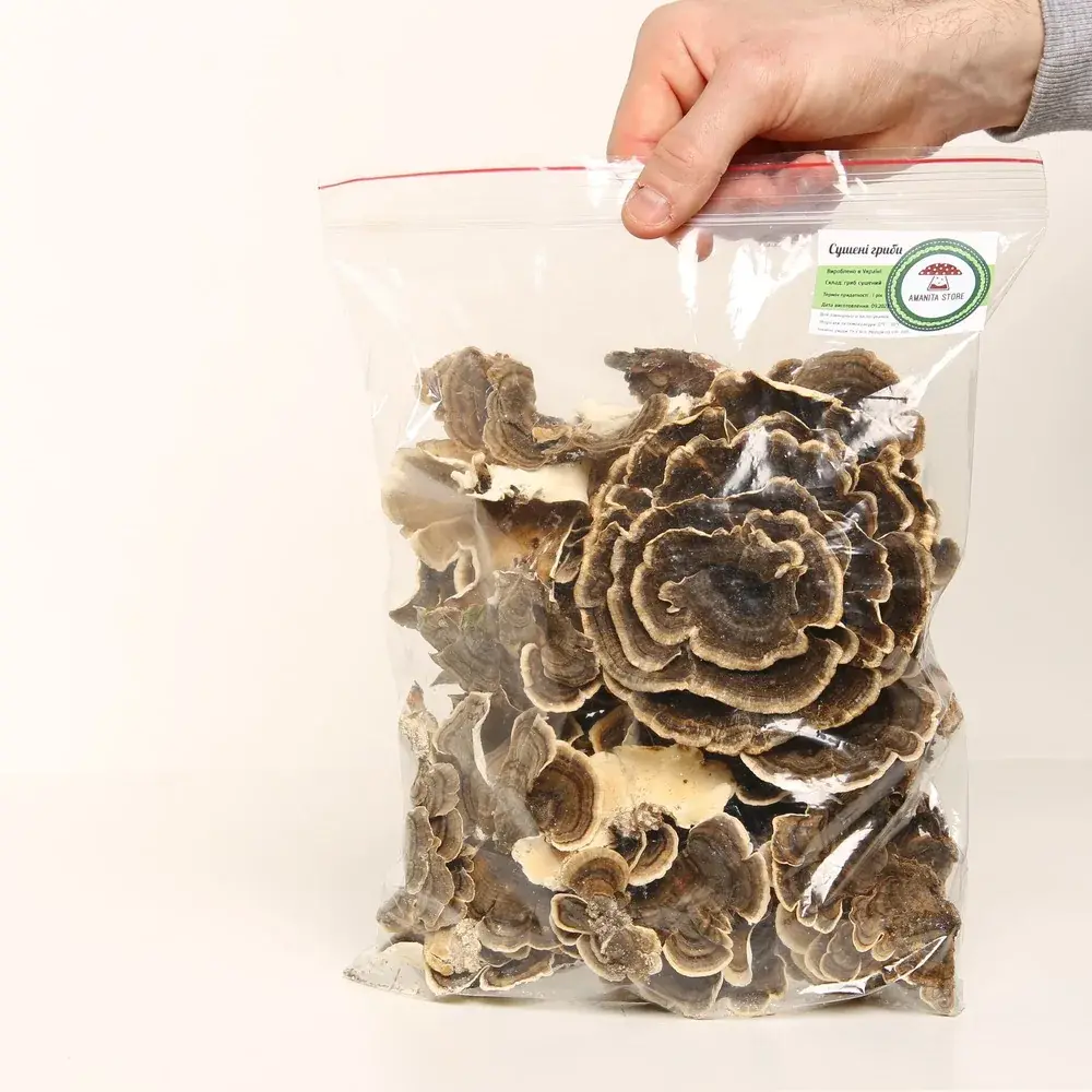 Trametes versicolor (Turkey tails) — 100g — photo 4