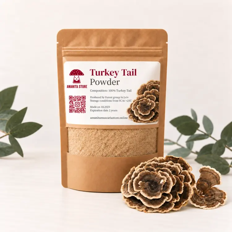 Trametes Versicolor Powder (Turkey Tail) — 100g