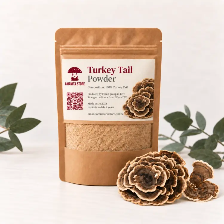 Trametes Versicolor Powder (Turkey Tail) — 100g