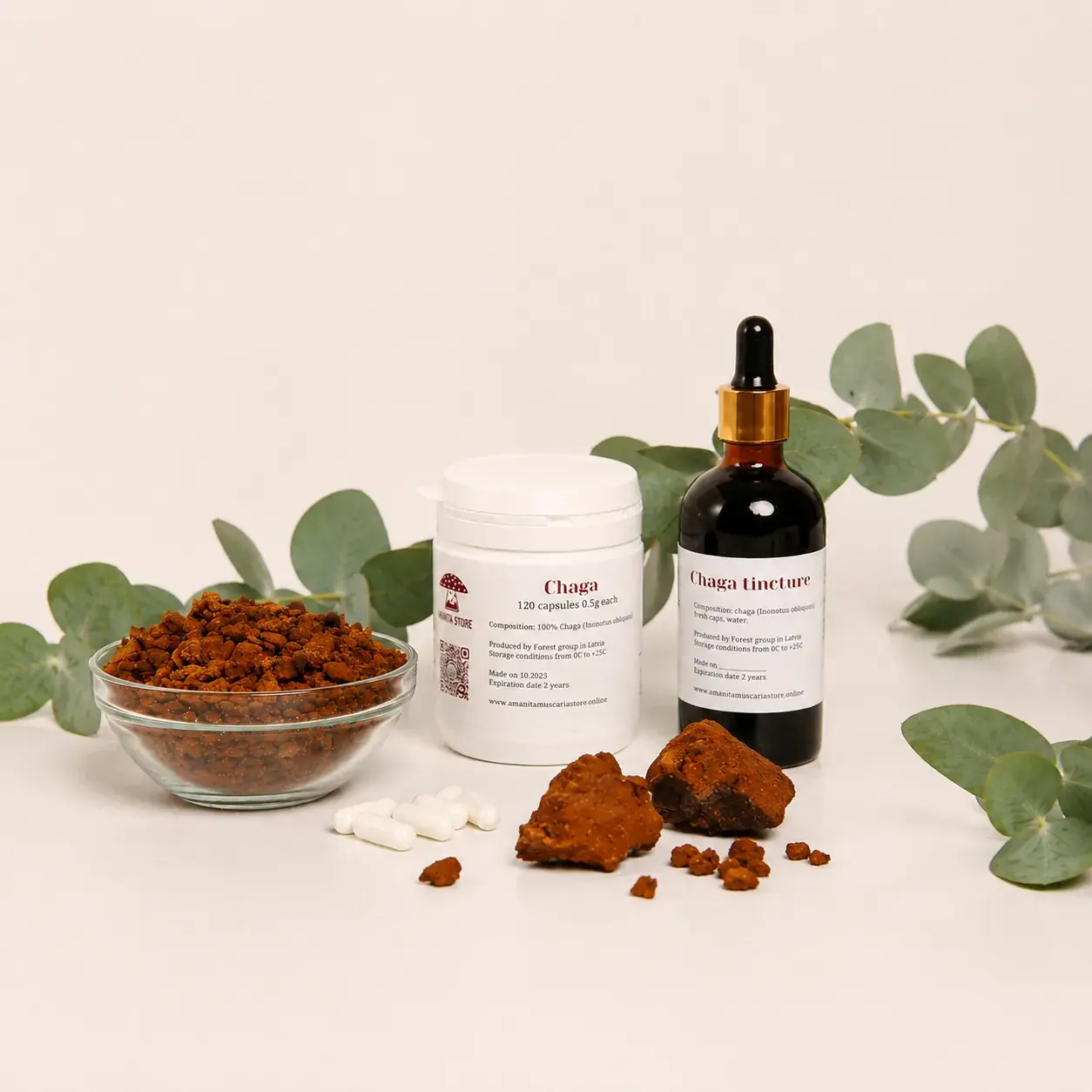 Chaga