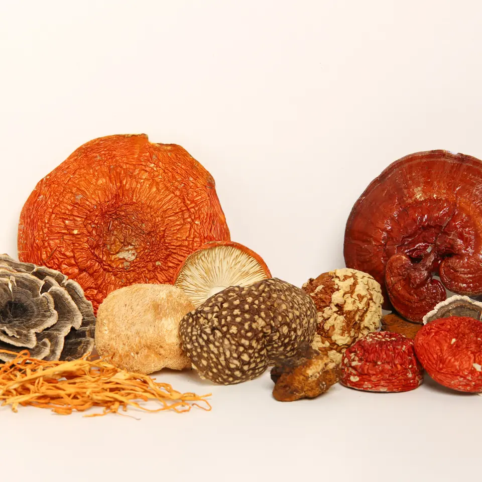 Premium Amanita Muscaria from Ukrainian Carpathian mountains