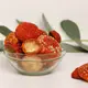 Dried Amanita muscaria premium — 50g — photo 2