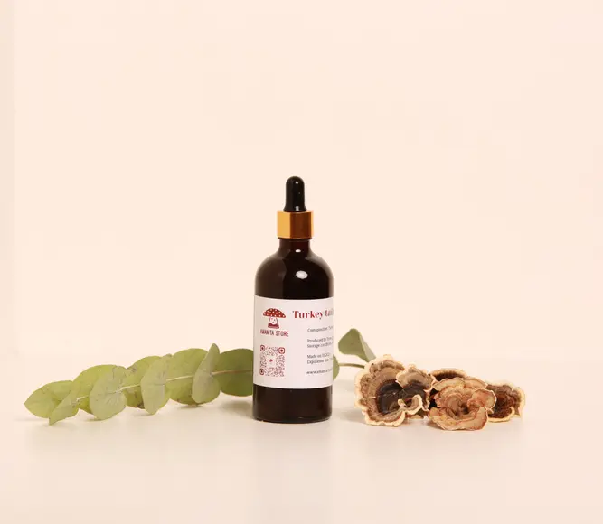 Trametes versicolor Tincture – Double Extraction from Fresh Organic Fruiting Bodies. — 50ml