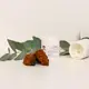 Chaga capsules — 120 capsules