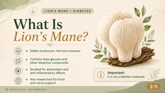 Lion's Mane Mushroom and Diabetes: Blood Sugar Support Guide article cover