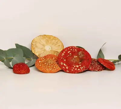 Dried Amanita muscaria Rød fluesvamp muscaria klasse A — 50g
