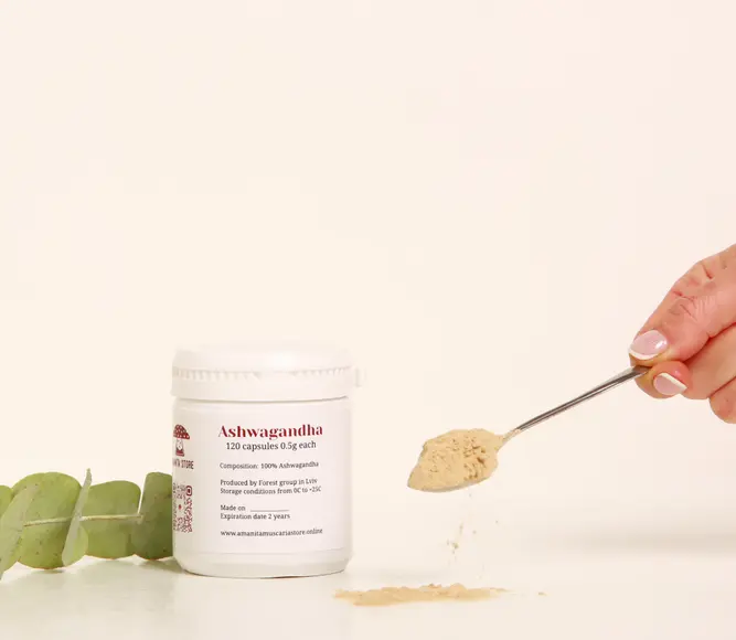 Extrait de racine d'Ashwagandha — 120 capsules