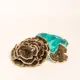 Trametes versicolor (Turkey tails) — 100g