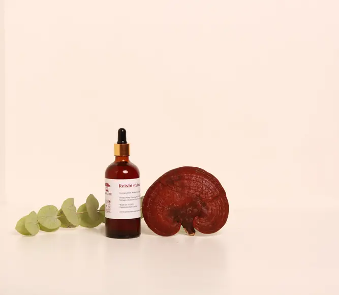 Reishi Tincture – Double Extraction from Fresh Organic Fruiting Bodies — 50ml