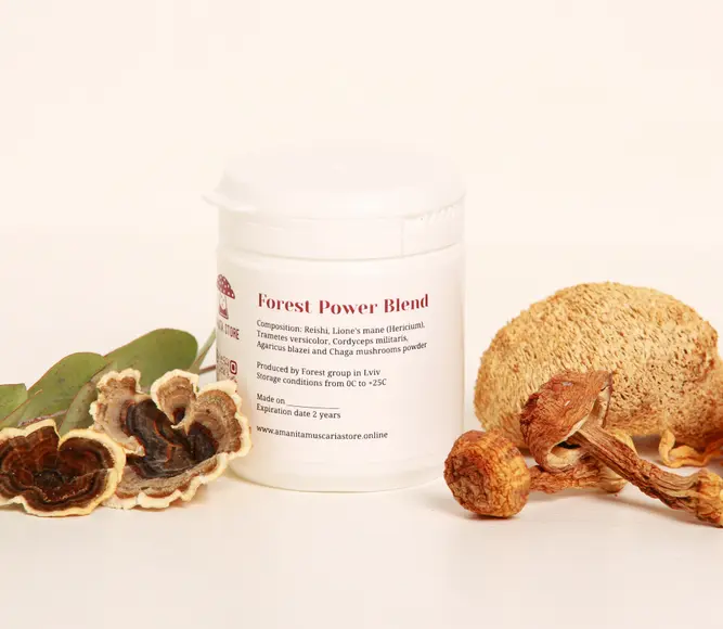 Forest Power Blend — 120 capsules