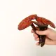 Reishi mushroom (Ganoderma lucidum) — 100g — photo 6