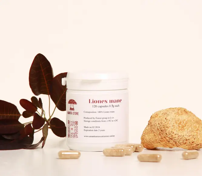 Lion's Mane capsules — 120 capsules